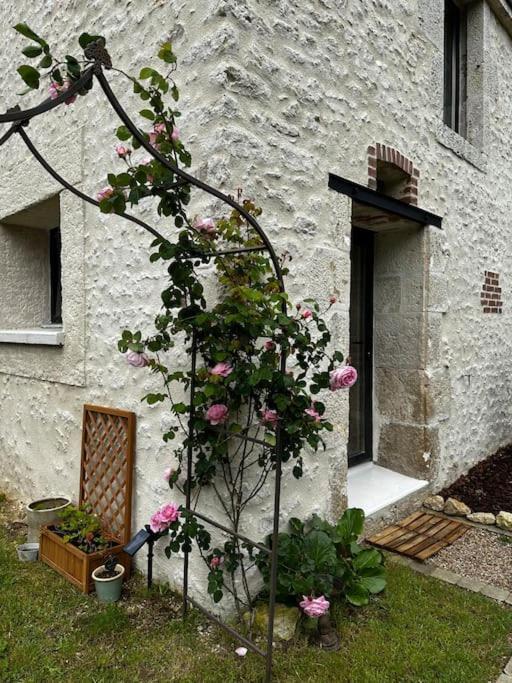 Gite Du Chat Roux La Chapelle-Saint-Martin-en-Plaine المظهر الخارجي الصورة